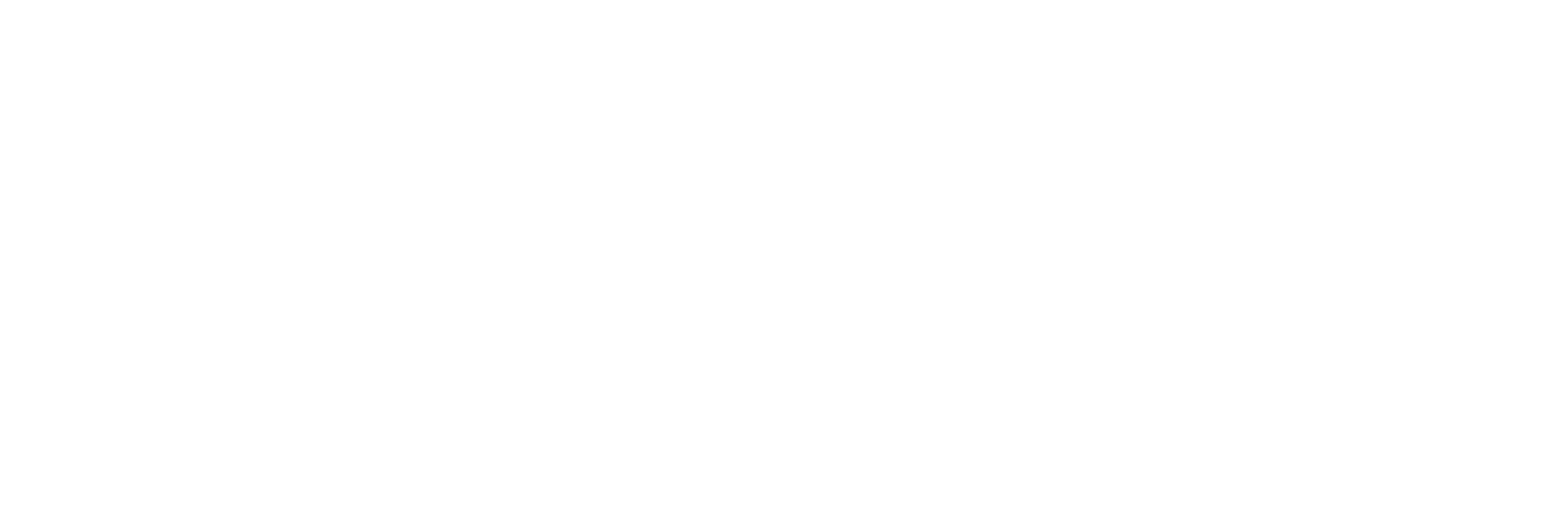 Google Corp. all white logo